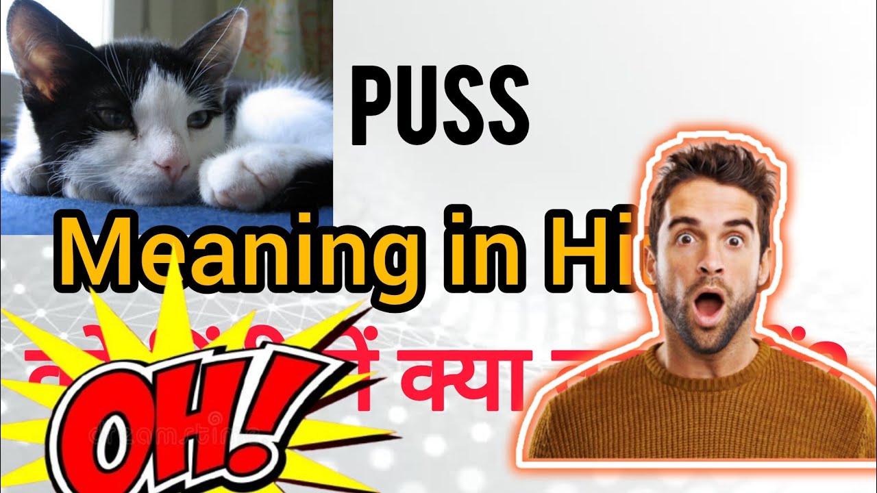 Puss meaning in Hindi || Puss means kya hota hai || Puss ki spelling || Puss ka matlab kya hota hai|