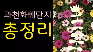 저렴하게 식물 구매하고 싶다면? 과천화훼단지 총정리🌱