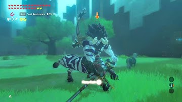 Killing Lynel without ancient arrow in Trial of the Sword | Master mode(Breath of the Wild)