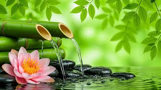 Soothing Serenity – Harmonious Meditation Music for Stress Relief, Healing and Relaxation