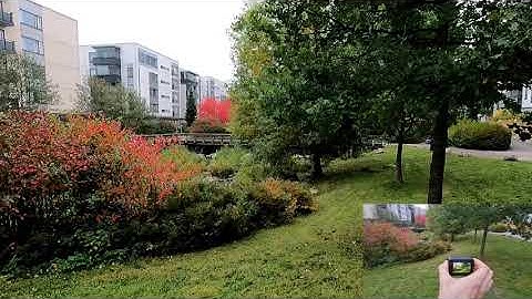 GoPro Hero 9 horizon level