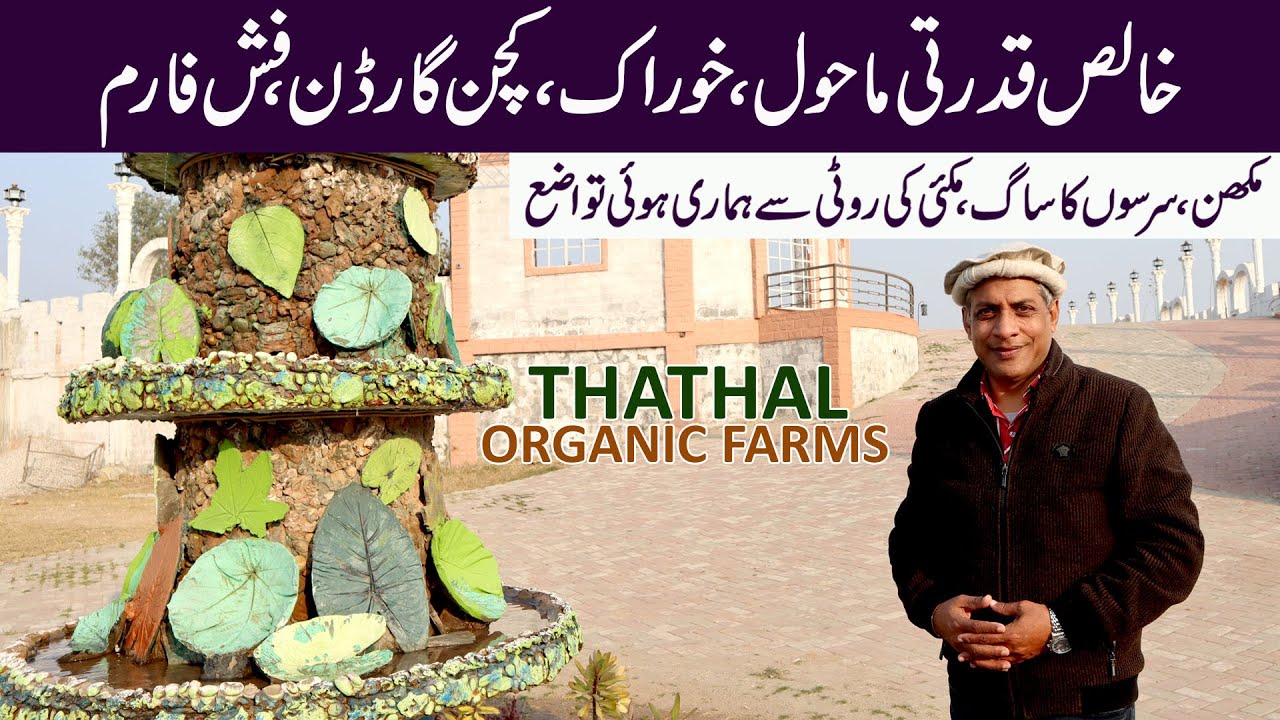 Life in Nature | Kitchen Garden | Lunch with Organic Food | Thathal Organic Farms | Rawalpindi