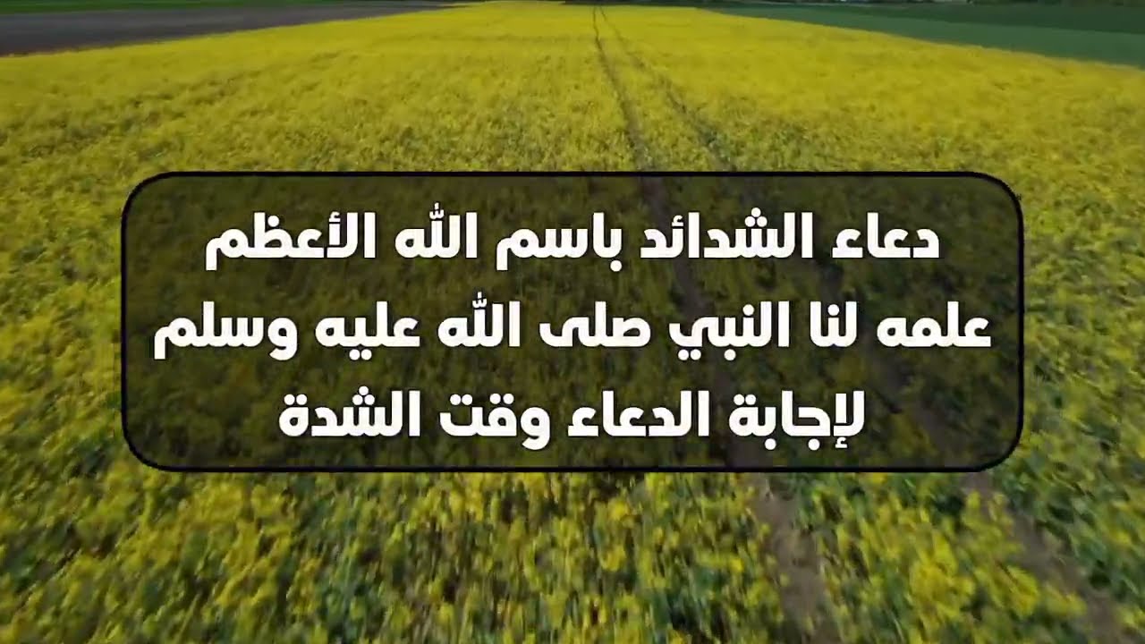 دعاء الامام الرضا عليه السلام عند الشدائد   YouTube