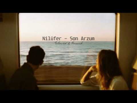 Nilüfer Son Arzum Slowed Reverb