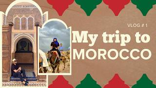 MARRAKECH: Medina Souks, Camel Rides, Jardin Majorelle and Ultimate Moroccan Food 🇲🇦