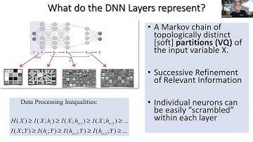 Prof. Naftali Tishby @ LOD 2020  "Local Information Bottleneck Representation"