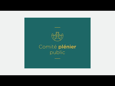 Comité plénier public du 13 décembre 2021