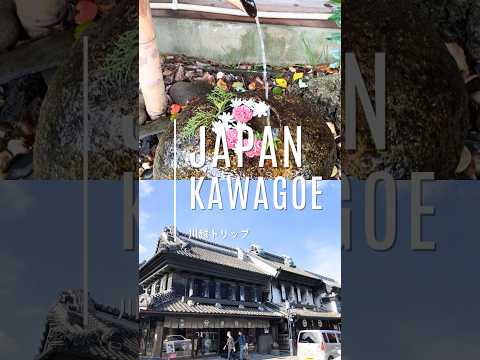 A short trip that can be done within 1 hour from Tokyo 🚊 #ラーメン #ramen #japanesefood #japan