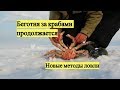 Беготня за крабами продолжается. Новые методы ловли / Catching a crab under the sea ice