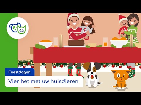 Video: 10 Huisdierveiligheidstips Voor De Feestdagen