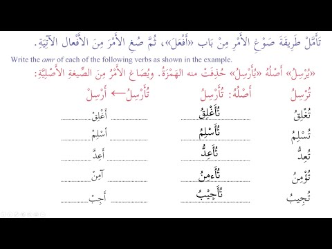 Madinah Arabic Book 3, Lesson 17 (Part 2B) أَفْعَلَ + ولو + لا مُ الإ بتداء