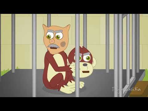 ПодыграйКа Стивен и Брюс в Зоопарке Мультфильмы для детей