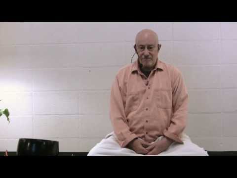 Shinzen's 30 Second Samadhi
