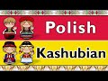 LECHITIC: POLISH &amp; KASHUBIAN