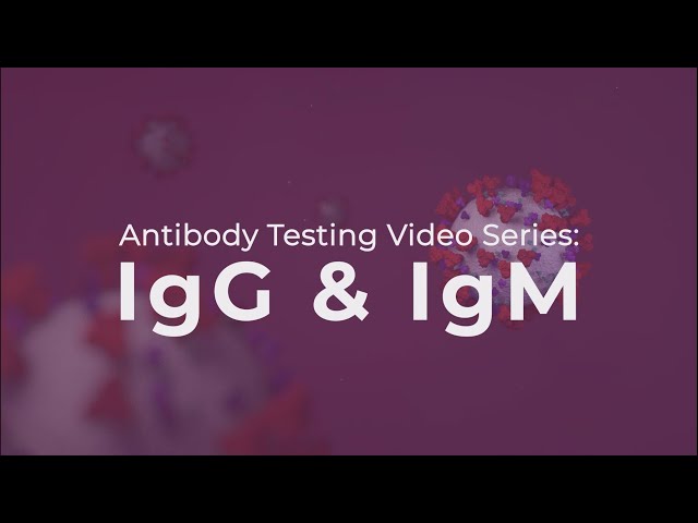Antibody Testing: IgG and IgM explained class=