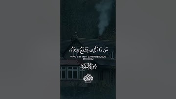 القارئ عبد ألرحمن عصام
