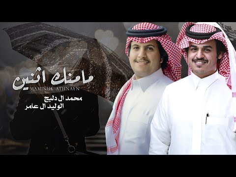 فيديو: 