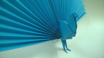 Origami peacock | Hướng dẫn gấp con công xòe đuôi cực đẹp | Origami Tutorial - XB