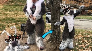 Suit up - Sven the reindeer