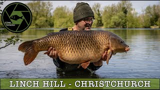 Linch Hill Fishery - Christchurch - Carp Fishing - A Carpy Connection