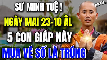 NGÀY MAI 23-10 ÂM LỊCH, 5 TUỔI NÀY CỨ MUA VÉ SỐ LÀ TRÚNG – LỜI PHẬT DẠY #loiphatday #phongthuy