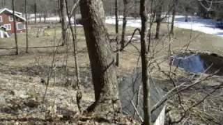 Cabin Rentals in Upstate New York-  See Natural Spring Water at Wellnesste Lodge- Taberg, NY