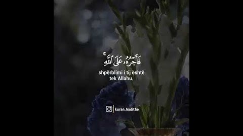 قرآن كريم بصوت القارئ سمير عزت تلاوة مطمئن ارح قلبك 💚🌿حالة واتس إسلامية /استوري انستغرام