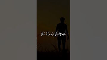 (وما الحياه الدنيا إلا متاع الغرور )ما تيسر من سوره ال عمران||الشيخ ياسر الدوسري