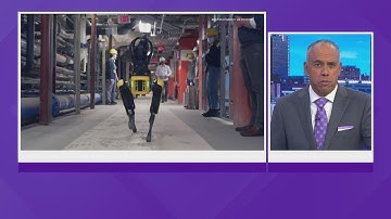 New dog-like delivery robots coming to UT campus