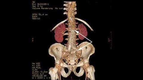 CT Continuing Education