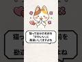 Q:猫って自分の名前を「かわいい」って勘違いしてますよね? #猫 #猫のいる暮らし #ねこ