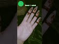 Basant 🪁 mehndi design@mehndidesignart365 #mehndidesigns #shortvideo