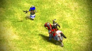 Bohemians Halberdier On A Hill Vs Paladin Aoe Ii Definitive Edition