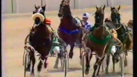 1974 New Zealand Cup - Addington, Christchurch: Ro...
