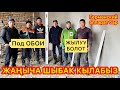 Кыргызстанда ҮЙЛӨРДҮ немисче ШЫБАЙ баштады  ~  Германский АППАРАТ келген  ~  Жылуу болот, под обои