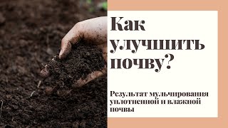 Как улучшить почву и восстановить плодородие почвы на садовом участке