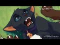 Sick boy warriors cats scourge amvwojownicy bicz amv