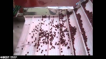 Cherry sorting machine Primus - TOMRA Sorting
