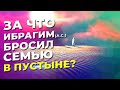 За что Ибрагим (а.с.) бросил свою семью в пустыне?