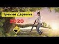 Премия Дарвина 2020 | Самые нелепые смерти