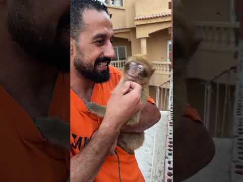 الجزء التاني حيوانات ابو اسيا