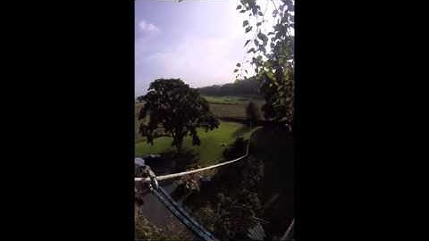 Oliver Bennett Tree Services. Looking down the speedline. Birch tree removal.