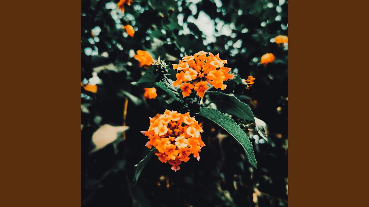 eternity (feat. hikari00)