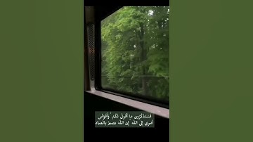 وافوض امري الى الله للقارئ محمد صديق المنشاوي المنشاوي | حالات واتس اب قران | ايات قرانيه قصيره.