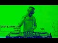 Deep House Mix by DJ JaBig - Playlist for Quarantine, Lockdown & Workout