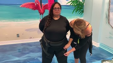 Heavy Weight Pro Bungee Fitness System holds up to 320 pounds