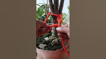 "Easy Strong Rope Knot Tutorial!" #knot #diy #shorts