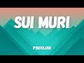 Psicologi - Sui Muri (Testo/Lyrics)