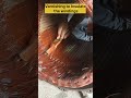 Varnish in Motor Winding #shorts