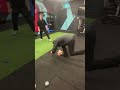 One-Legged Paper Challenge accepted!